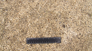 Pumice